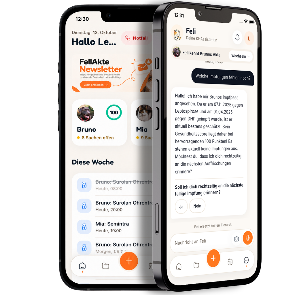FellAkte-App mit Gesundheitsübersicht und KI-Assistentin Feli auf zwei iPhones