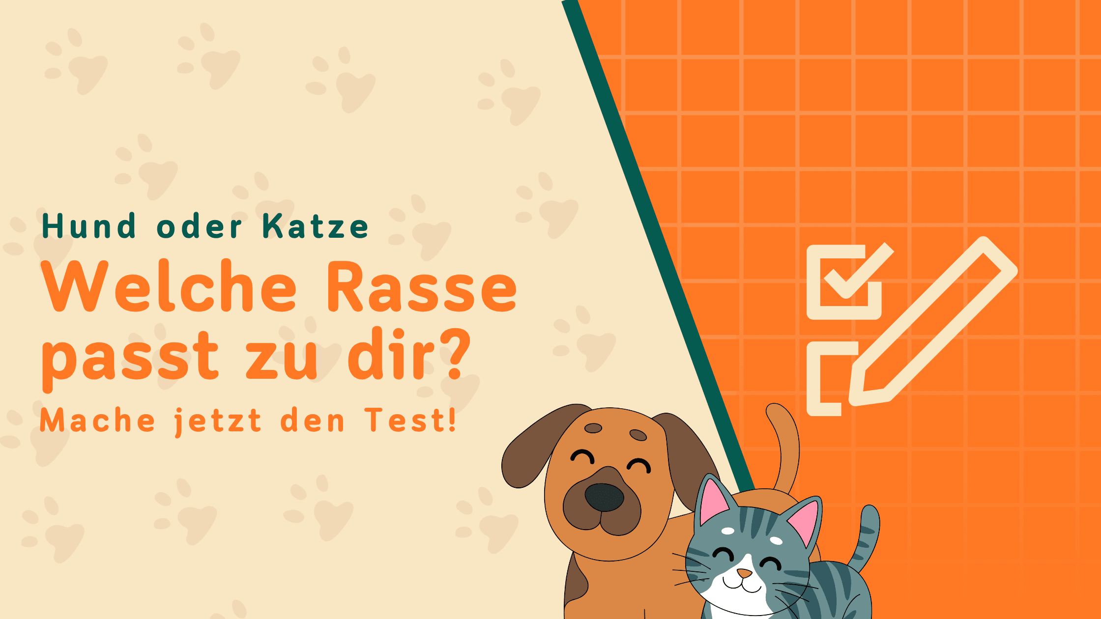 Welcher Hund oder welche Katze passt zu dir? Jetzt kostenlos herausfinden