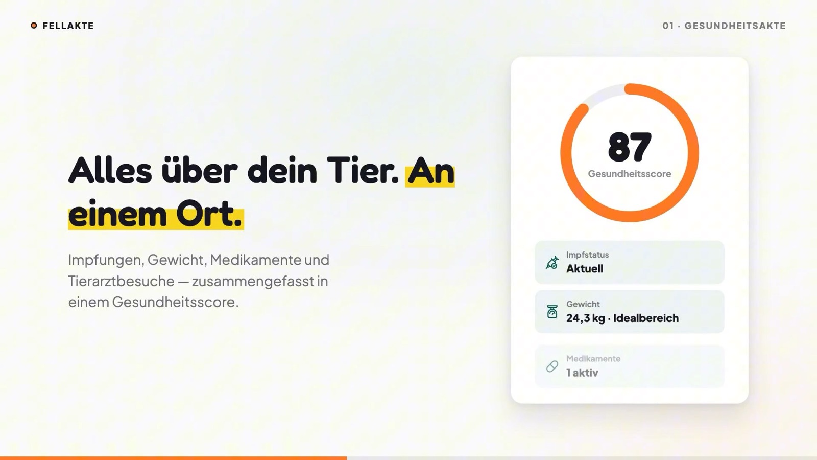 Vorschaubild des FellAkte Videos: Gesundheitsscore, Impfstatus und Gewicht auf einen Blick
